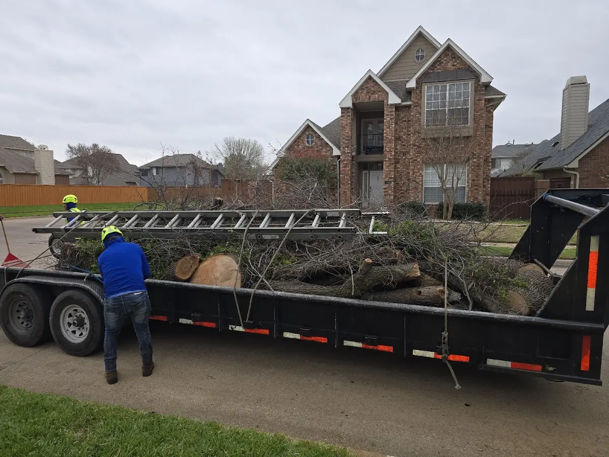 Expert Lot Clearing with proper safety equipment in Talent